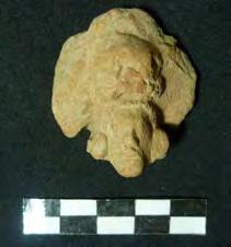 7 cm de alto x 2.3 cm de ancho. La figurilla encontrada en el Cuarto 3 es una cabeza humana de sexo indeterminado.