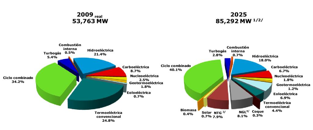 público 2009 real 51, 686 MW 2025 78,248 MW Participación de