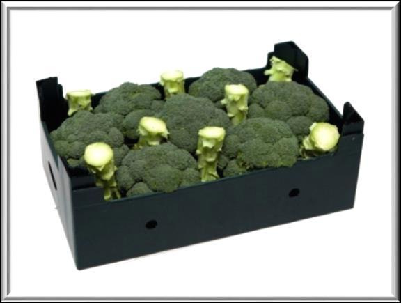 Brocoli El brócoli es un miembro de la familia de las coles, como la coliflor y las coles de Bruselas. Uno de sus mayores beneficios para la salud es reducir el riesgo de cáncer.