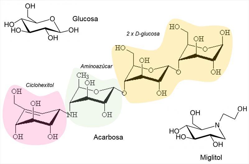 Inhibidores de alfa-glucosidasas Impiden la obtención de glucosa a partir de los carbohidratos impidiendo su absorción y reduciendo