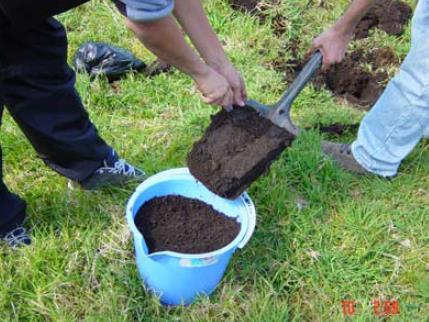Profundidad de muestreo La profundidad del suelo a la cual se toma la submuestra es variable. En general se recomienda una profundidad de 20 cm para la gran mayoría de cultivos agrícolas.
