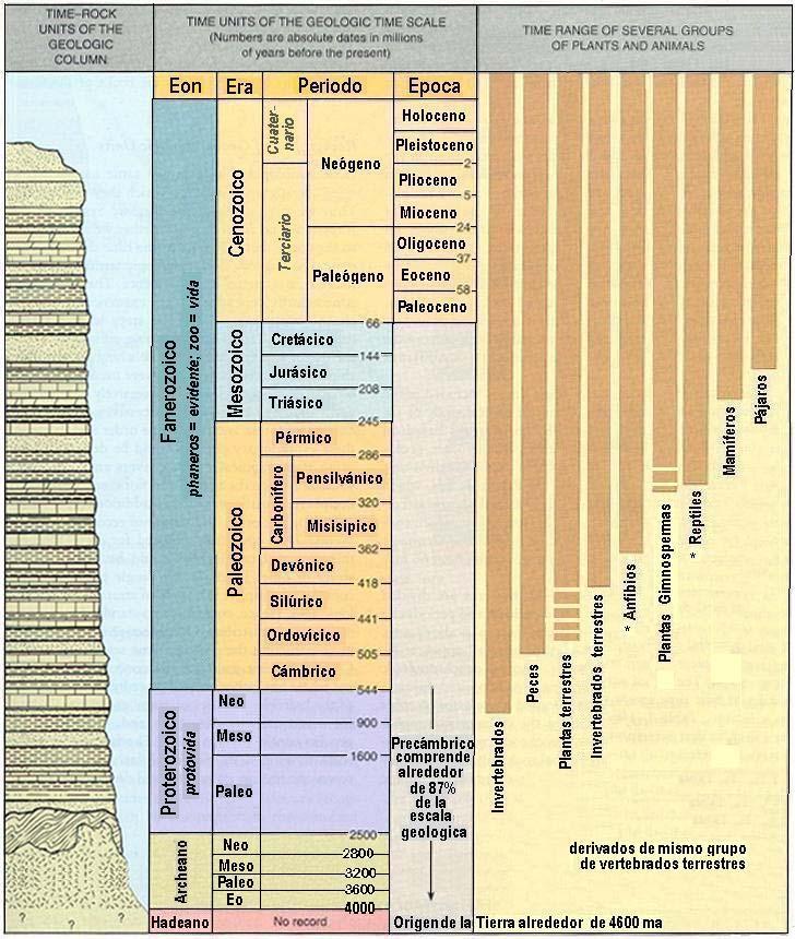 Cuaternario Construcción de la tabla del tiempo geológico Neógeno Del Cámbrico al Reciente (Holoceno) se desarrollo en su mayoría en el siglo XIX con 3 grandes Eras subdivididas en Periodos.