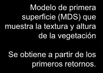 Modelo de primera superficie (MDS) que