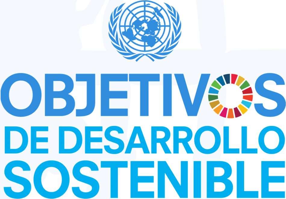 Naciones Unidas - Bolivia Oficina Oficina del Coordinador de la Coordinadora Residente