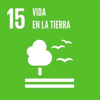 Oficina de la Coordinadora Residente del Naciones Unidas - Bolivia Objetivo 15: Promover el uso sostenible de los ecosistemas terrestres, luchar contra la desertificación, detener e invertir la
