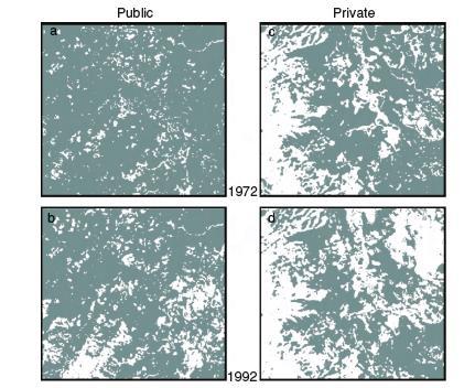 Fragmentación-depende de la escala Fragmentación geográfica División de un área en hábitats mas pequeños Fragmentación estructurada Afecta individuos