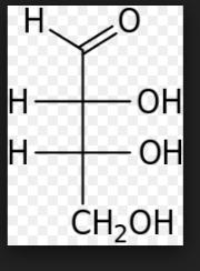 Tetrosas: Una de ellas, la eritrosa, es un intermediario en el ciclo de Calvin que es empleado por las plantas para sintetizar azúcares a partir del CO2 atmosférico, en la fotosíntesis.