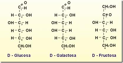 Las hexosas son los monosacáridos más importantes. Destacan las siguientes: La D-glucosa. Es el azúcar más abundante y la principal molécula que utilizan las células como combustible energético.