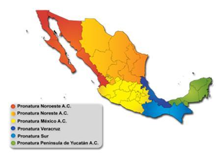 PRONATURA Organización mexicana sin fines de lucro creada en 1981 por un grupo de empresarios y académicos preocupados por la conservación de aquellas áreas del territorio del país que constituyen