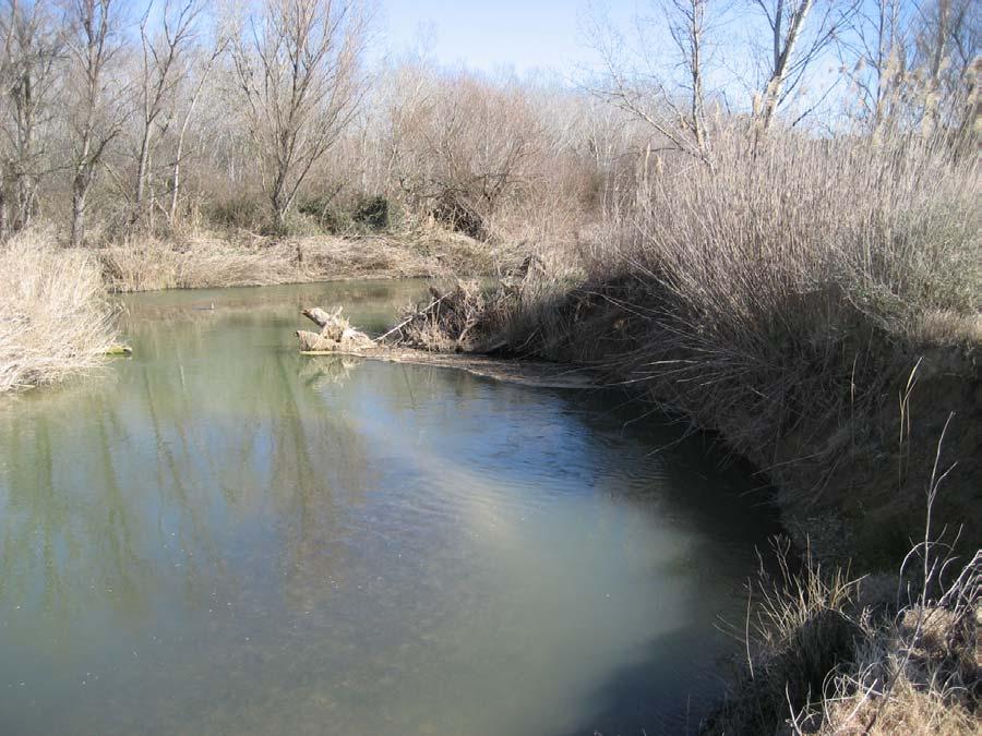 los retornos de riego situada en el desagüe D80-81 localizado en el término municipal de