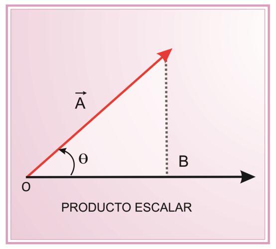 Se cumple la propiedad conmutativa: A A Propiedad Distributiva: A C A A C Vectores paralelos: i i j j k k 1 Vectores ortogonales: i j j k i k 0 A A a a a 1 3 b b b Cuadrado del módulo: 1 3 A A A Si A