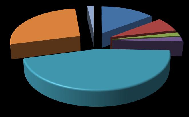Dentro de la hacienda municipal los recursos que más aportan a los ingresos públicos son los federales, dentro de los cuales las Participaciones Federales 9 representaron en el año 2009 el 45% del
