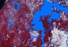 zonas inundables Interpretación de Estimación de áreas imágenes de satélite