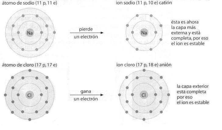 2. ENLACE IÓNICO. Los metales se caracterizan por tener pocos electrones en la última capa por lo que tienden a perderlos para adquirir la configuración de gas noble.