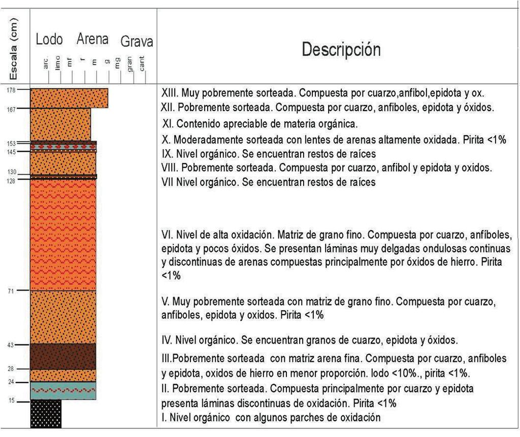 Geología Colombiana No. 33, Diciembre, 2008 sas bien seleccionadas. A nivel general el depósito presenta variaciones texturales relacionadas con la distancia al punto de aporte del material.