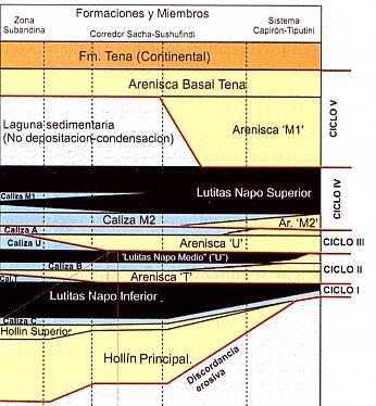7 Las formaciones Hollín y Napo están compuestas por depósitos fluviales y deltaicos que progradan hacia el oeste a depósitos de shoreline y marino somero. Los sedimentos provienen del Este.