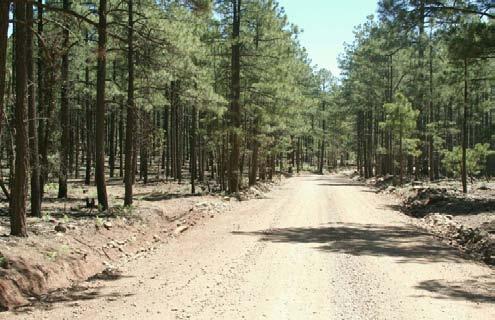 Mantener en buen estado los caminos vecinales de la región forestal del Estado mejorando el acceso a las comunidades.