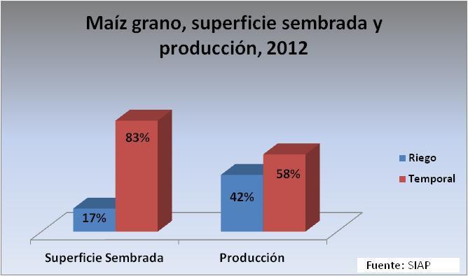 La relación entre superficie sembrada y producción de maíz grano ejemplifican el impacto del riego en los rendimientos.