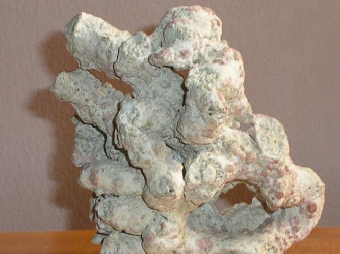 geológicas pasadas y que se encuentran conservados en las rocas sedimentarias