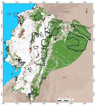 1. Contexto general relacionado con el patrimonio natural del Ecuador Cobertura natural: - 14.