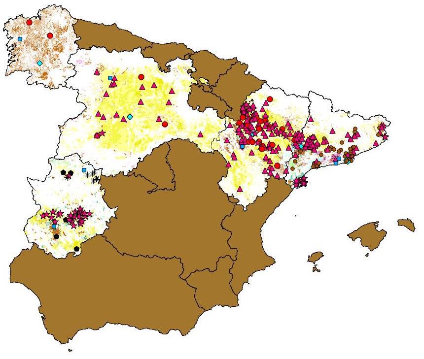 Actividades y resultados Determinación del MARCO REGIONAL Análisis recursos biomasa disponibles y localización geográfica Agroindustrias objetivo: Orujeras Alcoholeras Deshidratado