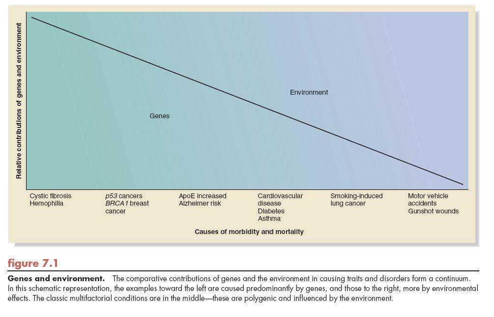 Influencia de los genes y del ambiente en las distintas causas de morbilidad y mortalidad.
