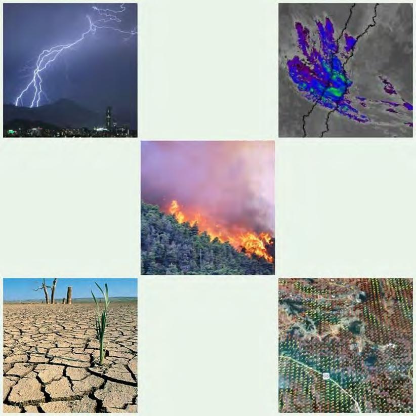 Análisis de factores meteorológicos pronosticados y estado de la vegetación, para la evaluación de escenarios de comportamiento del fuego para el periodo de