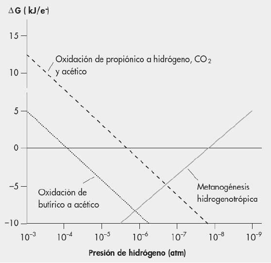 Ilustración 18 Relación entre la energía libre y la presión parcial de hidrógeno 3.4. PARÁMETROS CONDICIONANTES DE LA DIGESTIÓN ANAEROBIA.
