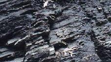 Gas en Lutitas (shale gas) Se conoce como gas en Lutitas (shale gas) al gas natural que se encuentra en yacimientos compuestos predominantemente por lutitas(una roca sedimentaria de grano que se
