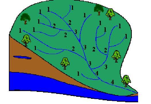 Parámetro Orden de la cuenca* Definición El orden de la cuenca refleja el grado de ramificación o bifurcación de la microcuenca.