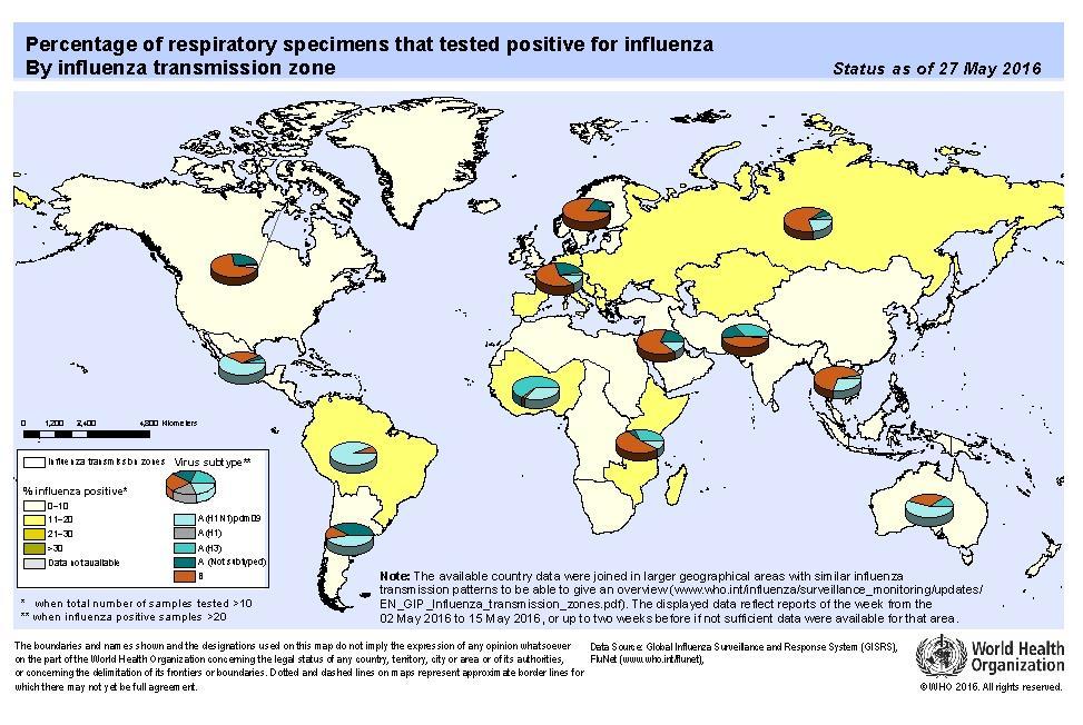 Influenza Global Update 264 / Actualizacion de influenza nivel global 264 Influenza activity in the northern hemisphere continued to decrease with a predominance of influenza B virus reported.