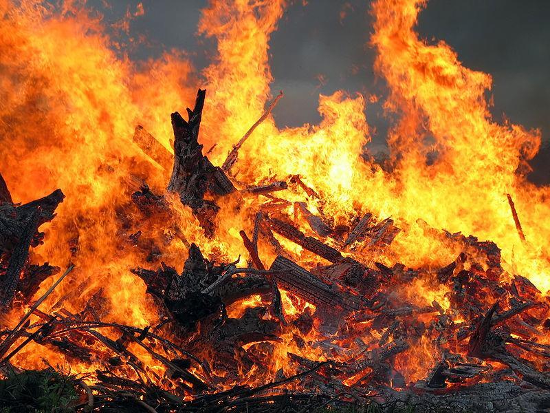 En algunas partes del mundo, ocurren incendios naturales de forma periódica en boques o praderas, mientras que en otras partes es el hombre el que realiza la quema
