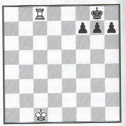 El jaque mate es un jaque en el que el bando perdedor no puede eludirlo de ninguna de las tres formas descritas en el párrafo anterior. La partida de ajedrez termina en ese momento.