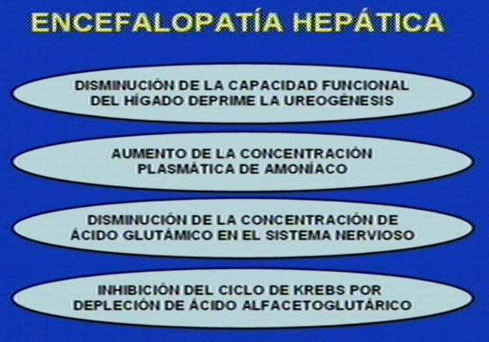 ENCEFALOPATIA HEPATICA Los pacientes con una afección hepática aguda o crónica pueden presentar Encefalopatía Hepática metabólica caracterizada por: trastornos variables de conciencia, alteraciones