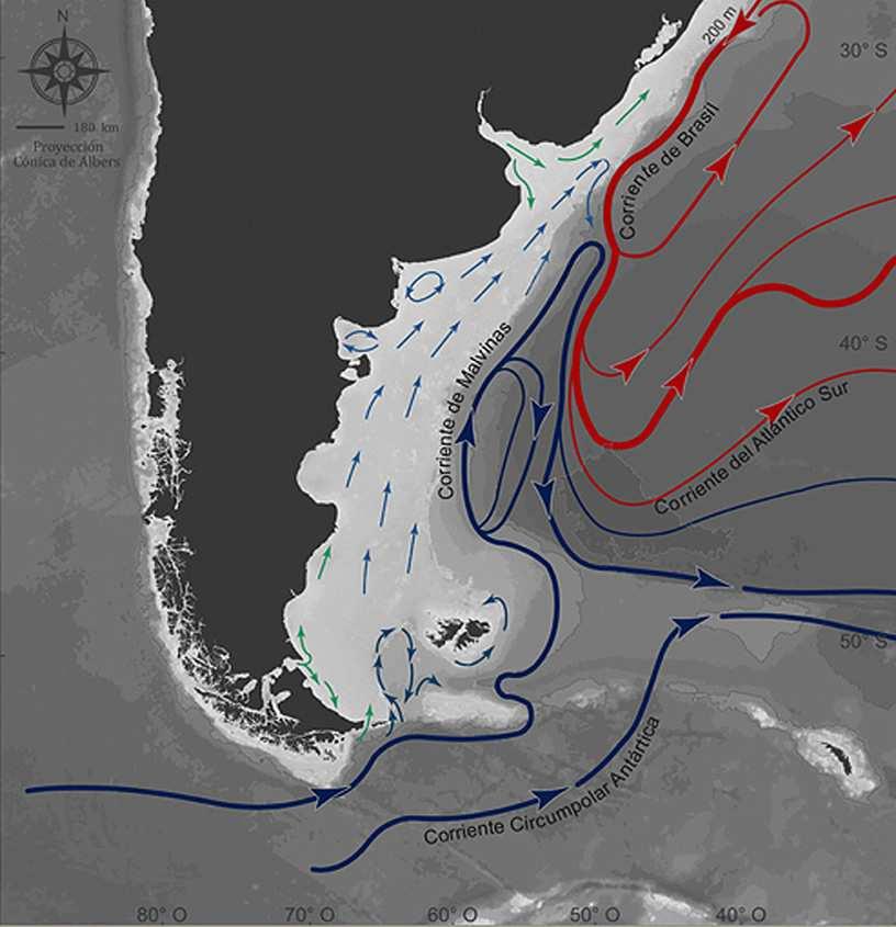 Habitat La merluza es una especie demersal pelágica, carcaterística de aguas templado frías relacionada con aguas subantárticas.