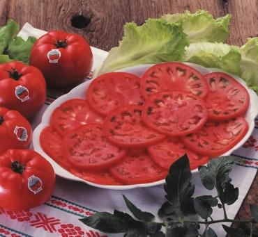 ikerketak Calidad organoléptica del tomate Eusko-Label El tomate es uno de los productos que más ha ganado en importancia en el sector hortícola.