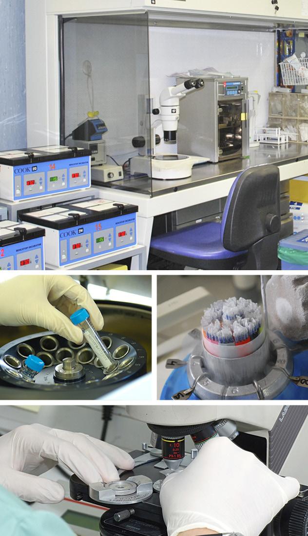Esta formación se puede realizar de dos formas: En nuestras instalaciones, donde se encuentran los laboratorios de Andrología y Embriología, equipados con la tecnología más puntera y los equipos más
