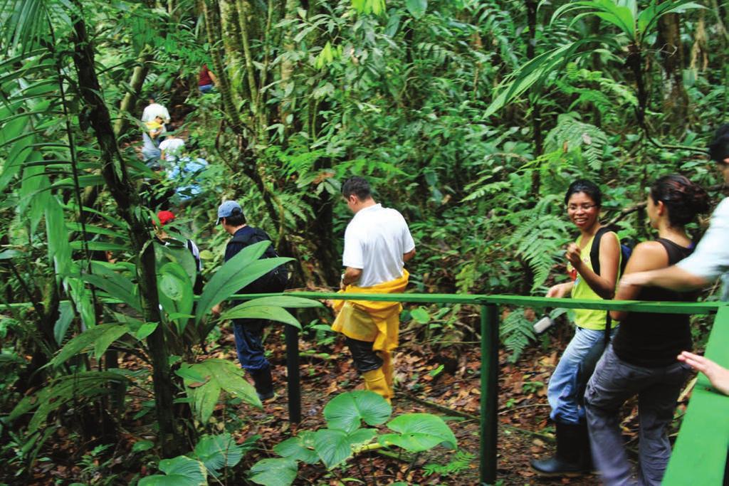 Maestría Académica Internacional en Manejo y Conservación de Bosques Tropicales y Biodiversidad Esta maestría provee un enfoque integral, interdisciplinario y actualizado del manejo de ecosistemas