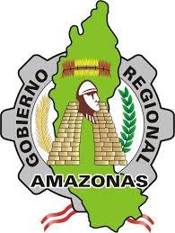 NIÑOS Y NIÑAS DE AMAZONAS COMPRENSIÓN