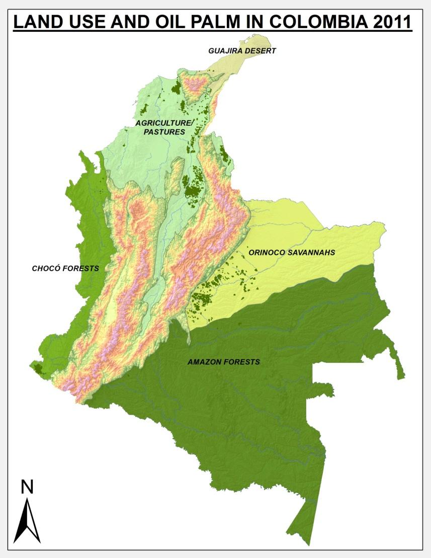 La palma de aceite en Colombia se ha desarrollado dentro de la frontera agrícola La no afectación de zonas de bosques naturales