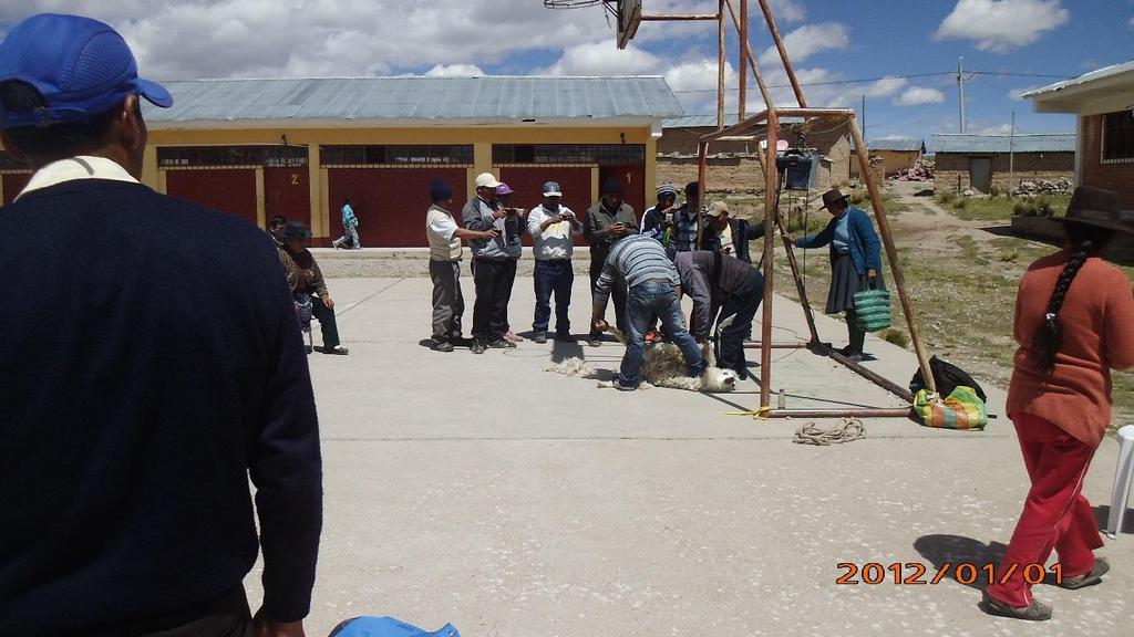 Miércoles 13 de abril del 2016 Curso Práctico de capacitación en la comunidad Campesina de Iscahuaca, Distrito de Cotaruse, Provincia de Aymaraes Apurímac en donde se capacitó en buenas