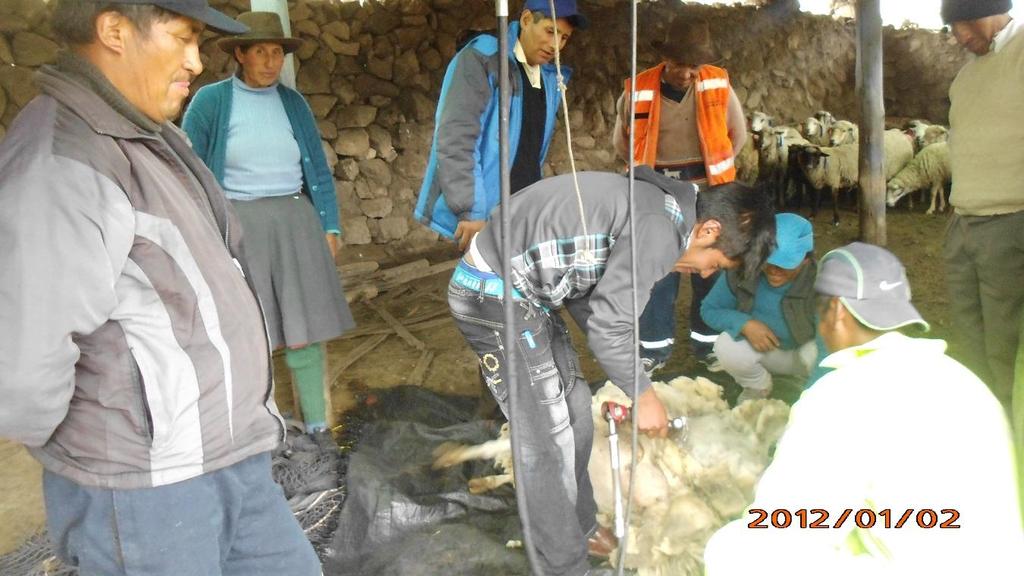 Jueves 14 de Abril del 2016 En la Comunidad de Pampamarca, Distrito de Coracora, Provincia de Parinacochas Ayacucho curso de capacitación en