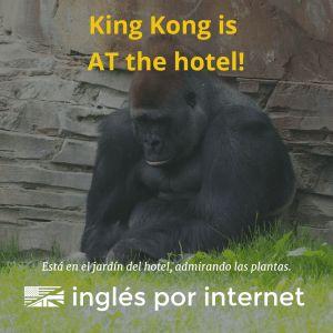 Traducción normal: King Kong está en el hotel. Lo que realmente significa: Puede ser que King Kong está dentro del hotel o en el techo o trepando una pared.