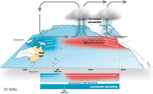 Condiciones El El Niño Niño (ENSO: