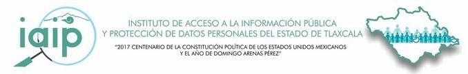 INSTITUTO DE ACCESO A LA INFORMACIÓN PÚBLICA Y PROTECCIÓN DE DATOS