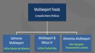 Contexto Mundial212 3) Joint Venture (JV) con Mitsui, que permitiría utilizar el esfuerzo conjunto de ambas empresas en el procesamiento y comercialización de las especies Trucha y Salmón Coho, con