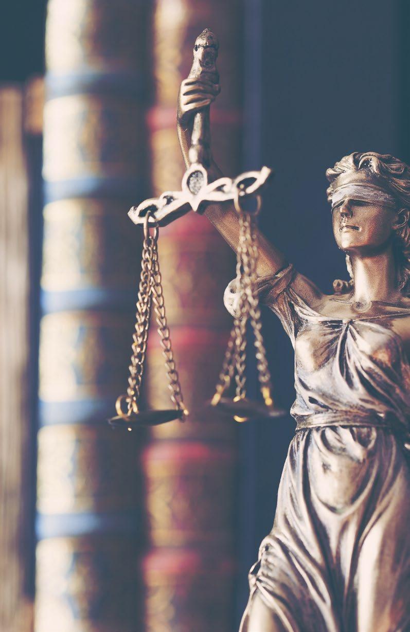 Nuevos profesionales del Derecho El Posgrado en Derecho Procesal Civil proporciona conocimientos especializados para el dominio de la reforma de la Justicia Civil, así como los principales