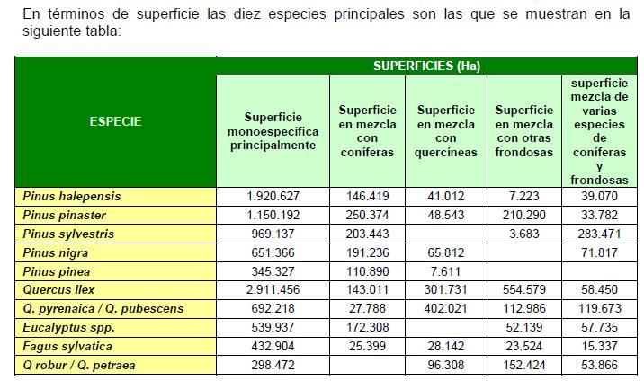 La superficie de pinar de piñonero en España B.