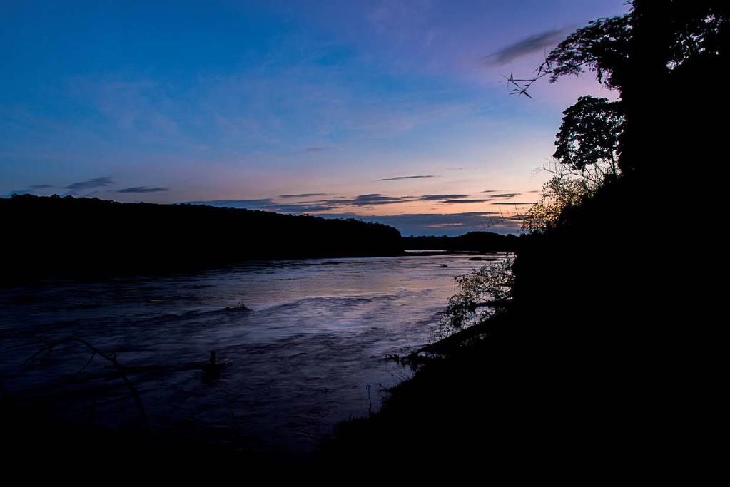 Proyecto REDD+ Reserva Nacional Tambopata RNTAMB y el Parque Nacional Bahuaja Sonene PNBS 100 El objetivo del proyecto es evitar la deforestación en ambas ANPs a través de: Actividades económicas