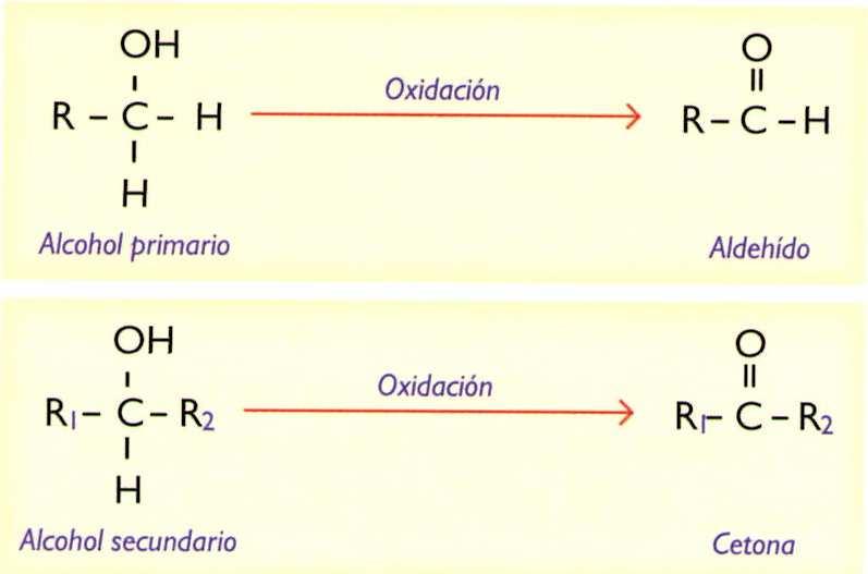 primario produce aldehidosy si